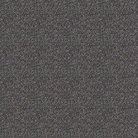 Westex Elysian Celestial Carpet Exen Flooring