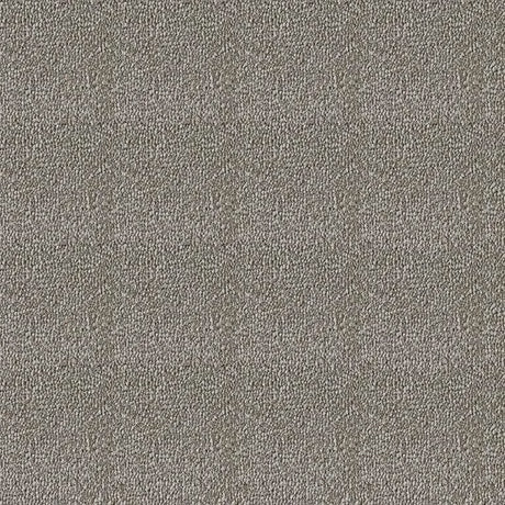 Westex Elysian Divine Carpet Exen Flooring