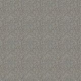 Westex Elysian Divine Carpet Exen Flooring