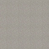 Westex Elysian Divine Carpet Exen Flooring