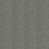 Westex Elysian Divine Carpet Exen Flooring