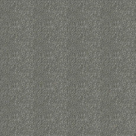 Westex Elysian Divine Carpet Exen Flooring