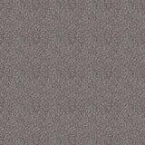 Westex Elysian Divine Carpet Exen Flooring
