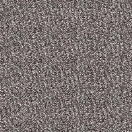 Westex Elysian Divine Carpet Exen Flooring
