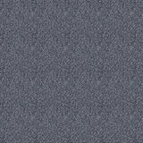 Westex Elysian Divine Carpet Exen Flooring