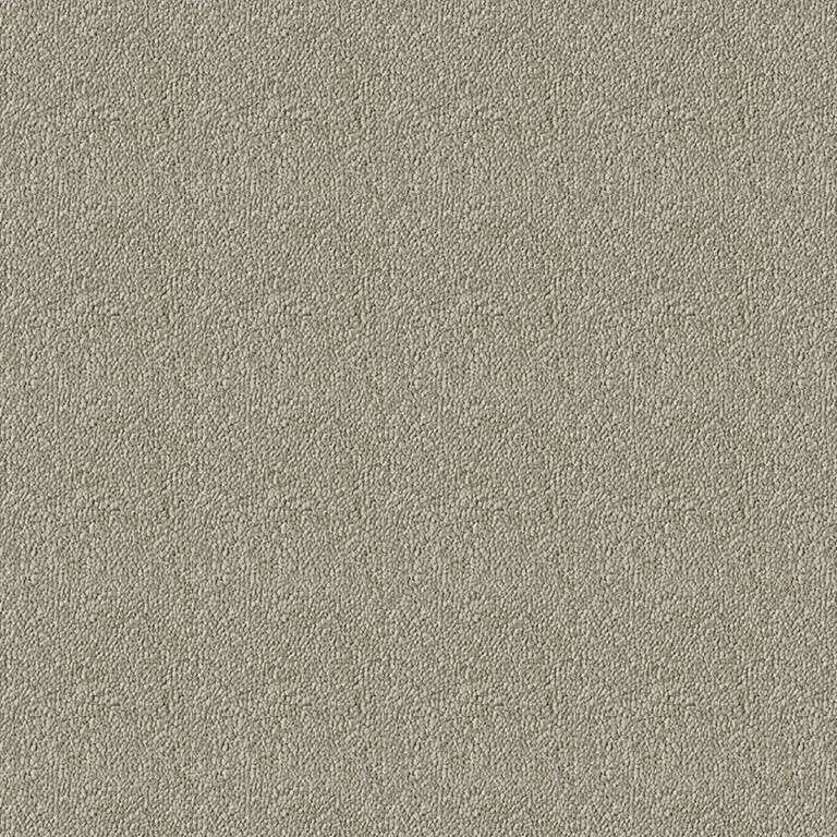 Westex Elysian Divine Carpet Exen Flooring