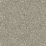 Westex Elysian Divine Carpet Exen Flooring