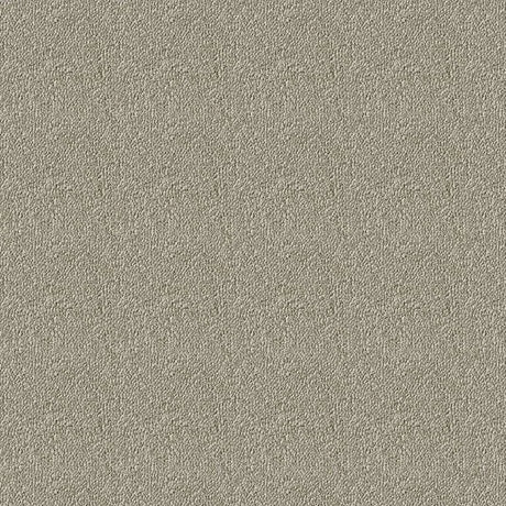 Westex Elysian Divine Carpet Exen Flooring