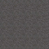 Westex Elysian Divine Carpet Exen Flooring