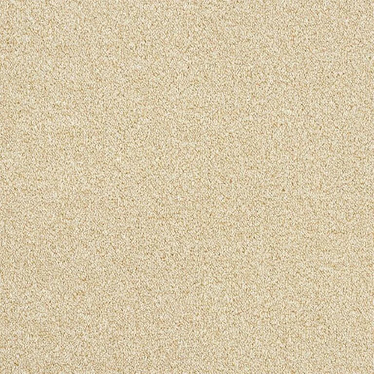 Abingdon Stainfree Rustique Twist Carpet Exen Flooring
