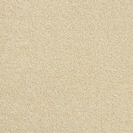 Abingdon Stainfree Rustique Twist Carpet Exen Flooring