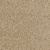 Abingdon Stainfree Tweed Carpet Exen Flooring