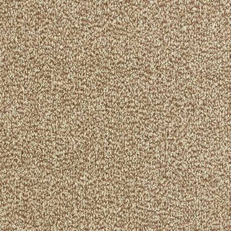 Abingdon Stainfree Tweed Carpet Exen Flooring