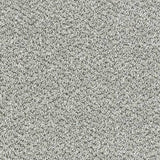 Abingdon Stainfree Tweed Carpet Exen Flooring