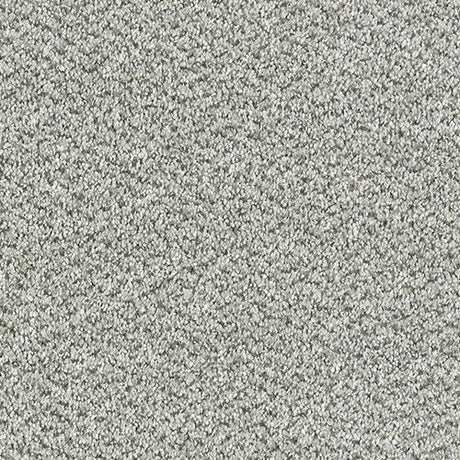 Abingdon Stainfree Tweed Carpet Exen Flooring