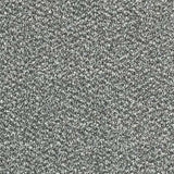 Abingdon Stainfree Tweed Carpet Exen Flooring