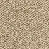 Abingdon Stainfree Tweed Carpet Exen Flooring