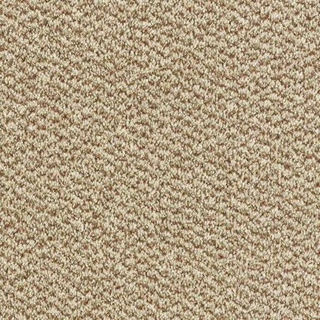 Abingdon Stainfree Tweed Carpet Exen Flooring
