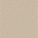 Cormar Primo Textures Loop Carpet