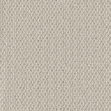 Cormar Primo Textures Loop Carpet