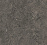 Forbo Marmoleum Ohmex