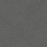 Polyflor Expona Flow Vinyl Exen Flooring