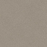 Polyflor Expona Flow Vinyl Exen Flooring