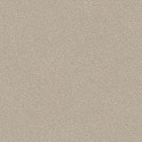 Polyflor Expona Flow Vinyl Exen Flooring