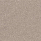 Altro Pisces Safety Vinyl