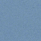 Altro Pisces Safety Vinyl
