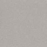 Altro Pisces Safety Vinyl