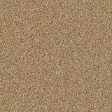 Cormar Linwood Carpet Exen Flooring