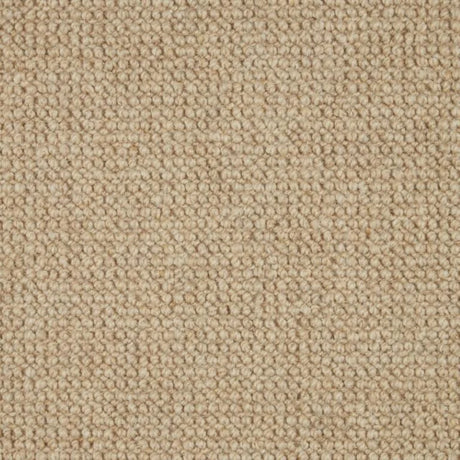 Cormar Trilogy Carpet Exen Flooring