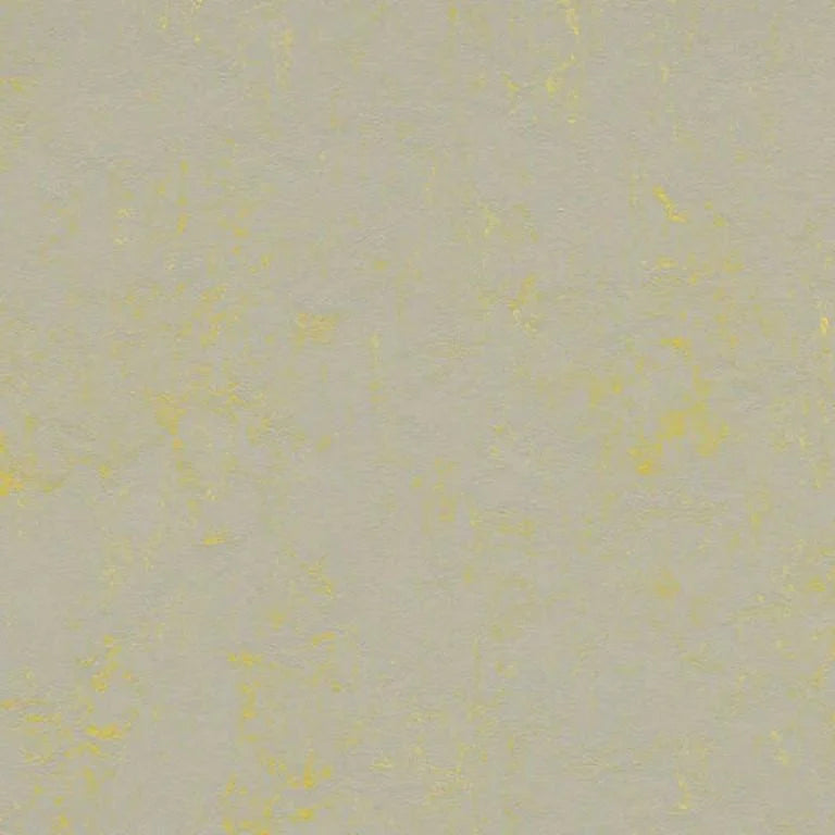 Forbo Marmoleum Concrete 2.5mm Exen Flooring