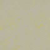 Forbo Marmoleum Concrete 2.5mm Exen Flooring