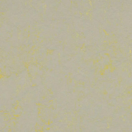 Forbo Marmoleum Concrete 2.5mm Exen Flooring