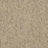 exen-flooring-abingdon-country-linear-carpet-biscotti - Exen Flooring