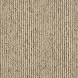 exen-flooring-abingdon-country-linear-carpet-biscotti - Exen Flooring