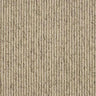exen-flooring-abingdon-country-linear-carpet-biscotti - Exen Flooring