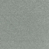 Gray textured carpet flooring for modern home interiors by Exen Flooring