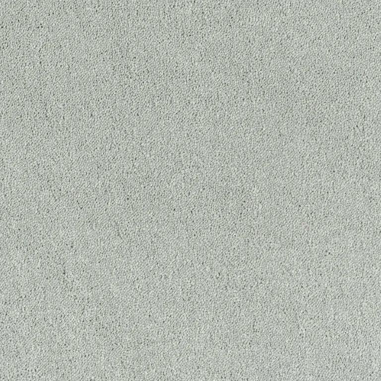 Light gray textured carpet flooring for modern interiors by Exen Flooring