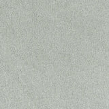 Light gray textured carpet flooring for modern interiors by Exen Flooring