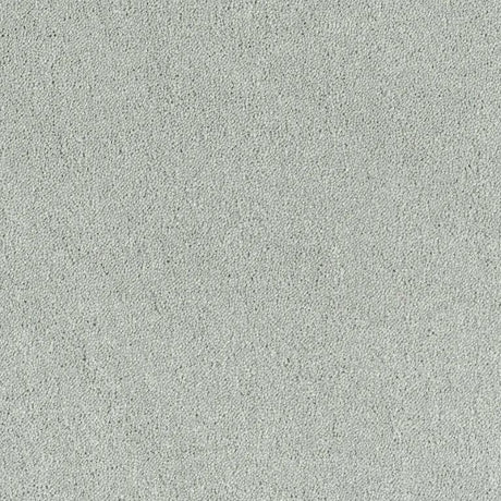 Light gray textured carpet flooring for modern interiors by Exen Flooring