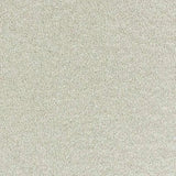Neutral textured carpet flooring for stylish home interiors by Exen Flooring