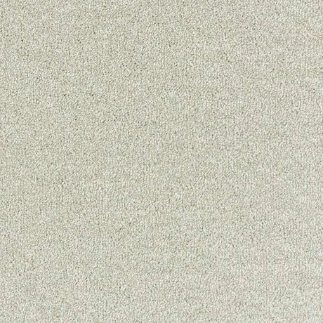 Neutral textured carpet flooring for stylish home interiors by Exen Flooring