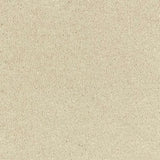 Beige textured carpet flooring for stylish home interiors by Exen Flooring