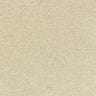 Beige textured carpet flooring for stylish home interiors by Exen Flooring
