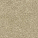 Beige textured carpet flooring for stylish home interiors