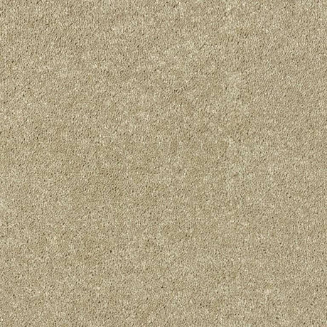 Beige textured carpet flooring for stylish home interiors