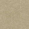Beige textured carpet flooring for stylish home interiors
